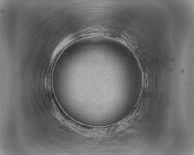X0000062130004200512091201