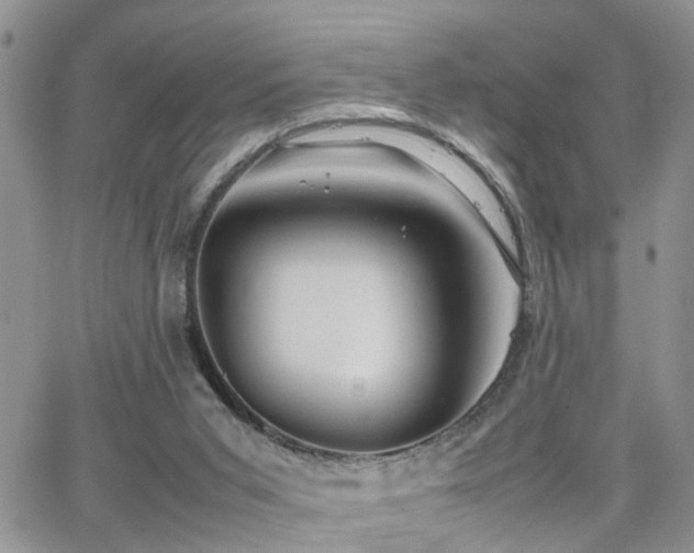 X0000062130015200512091201