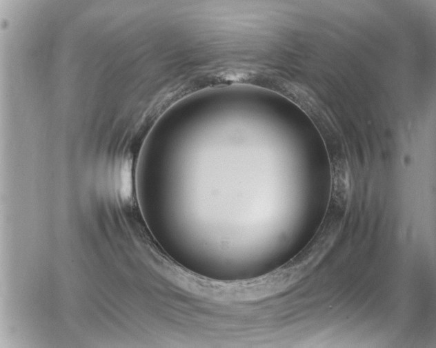 X0000062130046200512091201