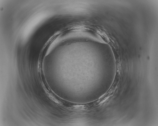 X0000062130052200512091200