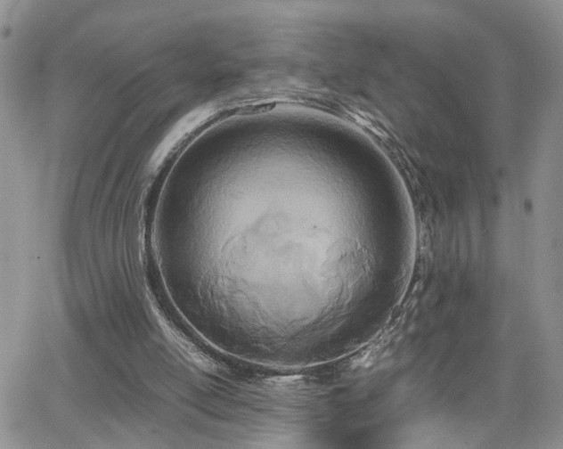 X0000062130054200512091200