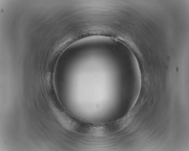 X0000062130066200512091200