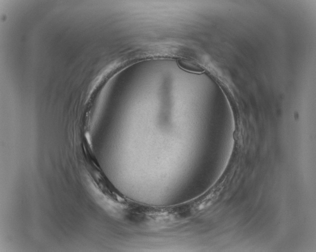 X0000062130107200512091200