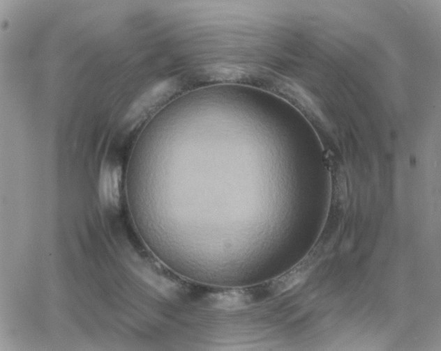 X0000062130118200512091159