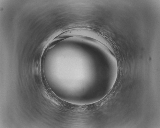 X0000062130148200512091158