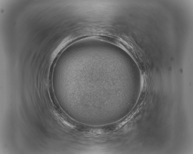 X0000062130195200512091158