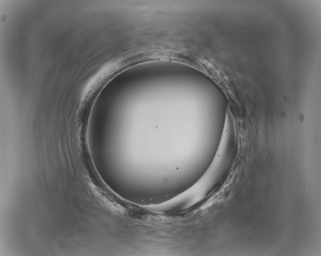 X0000062130197200512091158