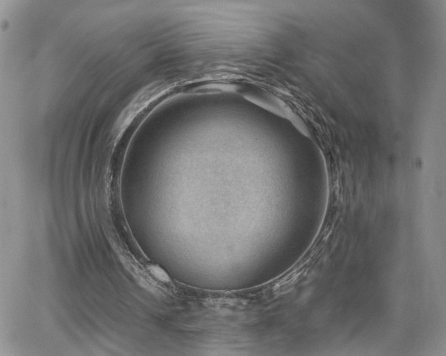 X0000062130242200512091157