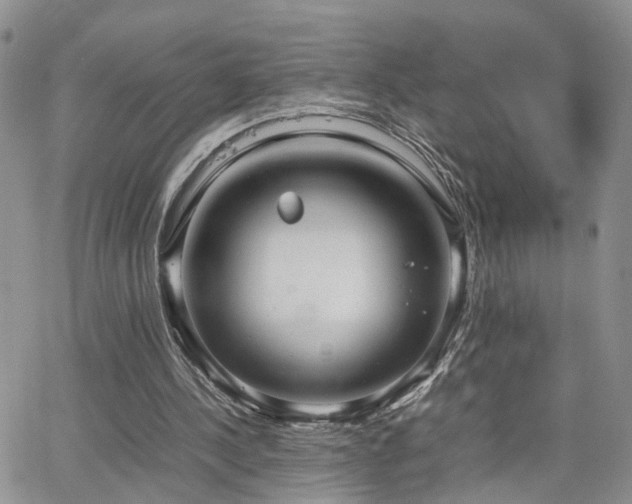 X0000062130244200512091157