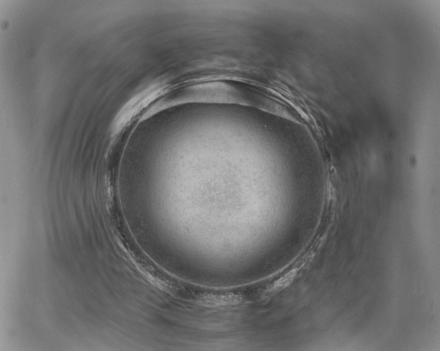 X0000062130245200512091157
