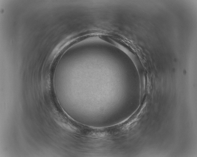 X0000062130247200512091157