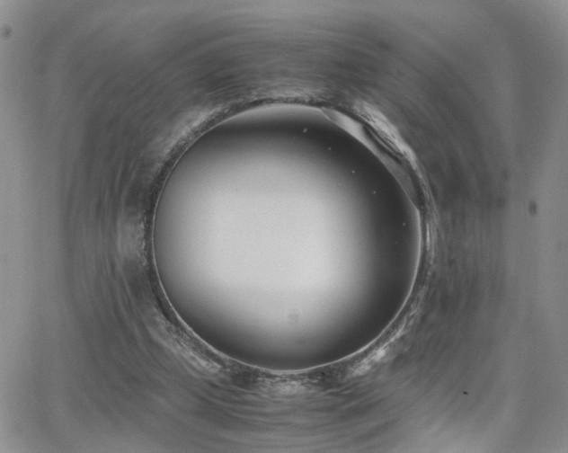 X0000062130249200512091157