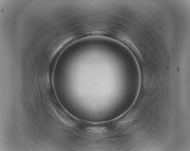 X0000062130251200512091157