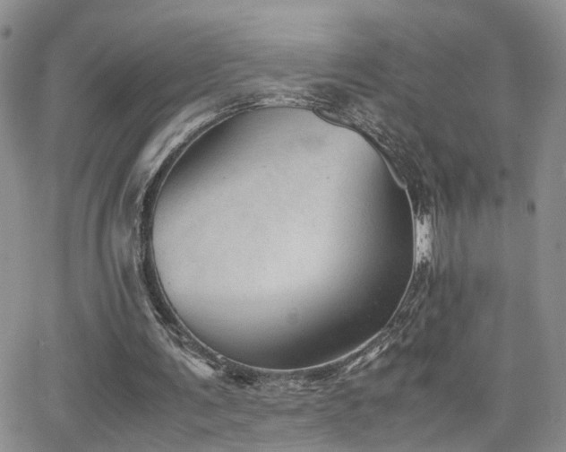X0000062130291200512091157