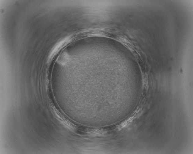 X0000062130293200512091156