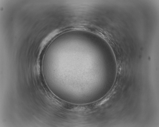 X0000062130294200512091156