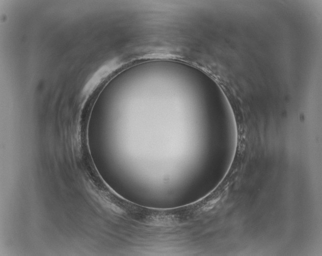X0000062130296200512091156