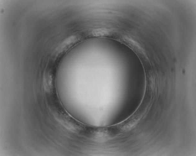 X0000062130308200512091156