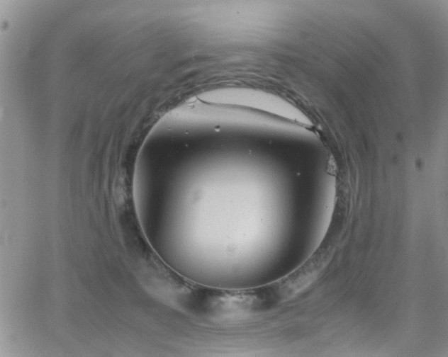X0000062130323200512091156