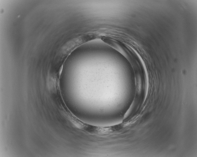 X0000062130333200512091156