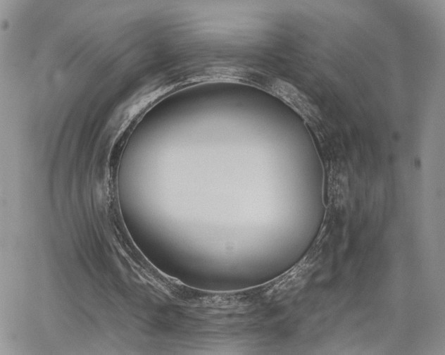 X0000062130338200512091155