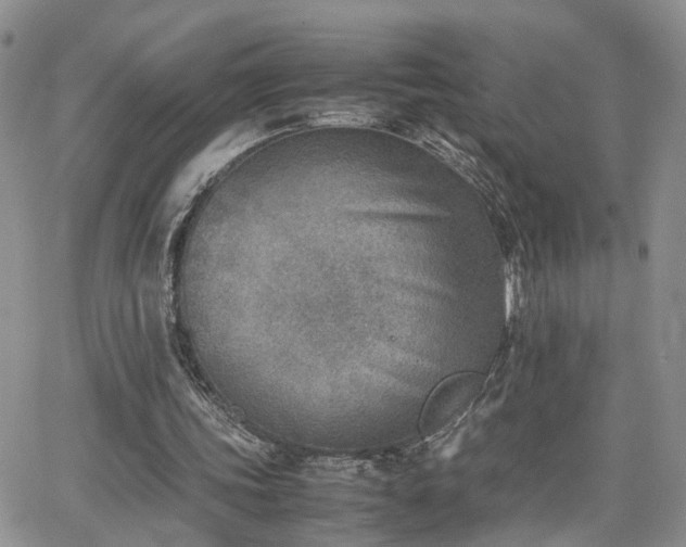 X0000062130339200512091155