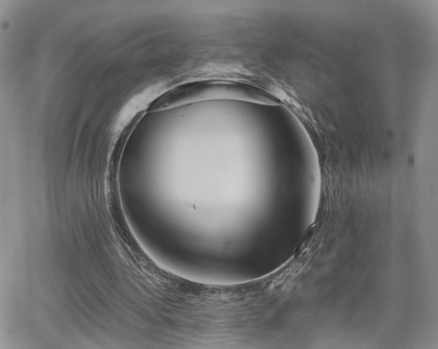 X0000062130340200512091155