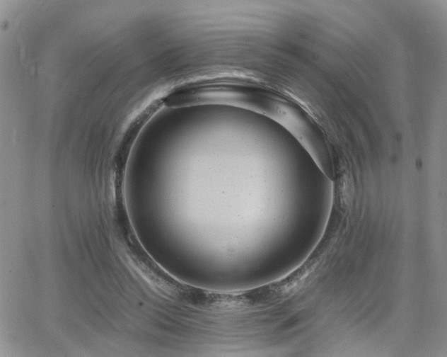 X0000062130350200512091155
