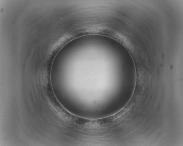 X0000062130354200512091155