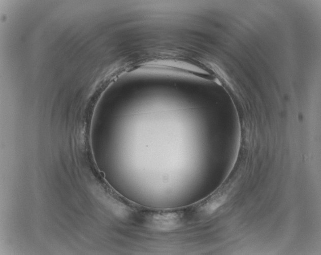 X0000062130357200512091155