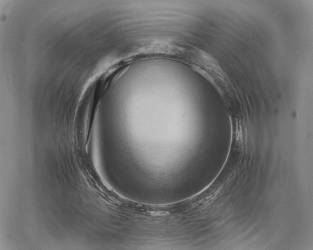 X0000062130388200512091155