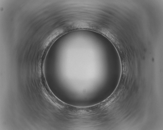 X0000062130390200512091155