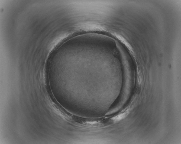 X0000062130391200512091155