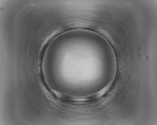 X0000062130395200512091155