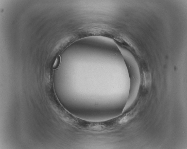 X0000062130407200512091155