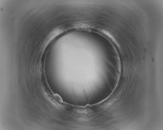X0000062130439200512091154