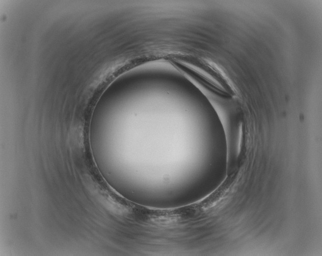X0000062130447200512091154