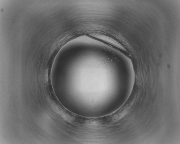 X0000062130454200512091154