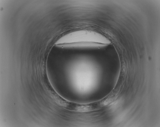 X0000062130461200512091154