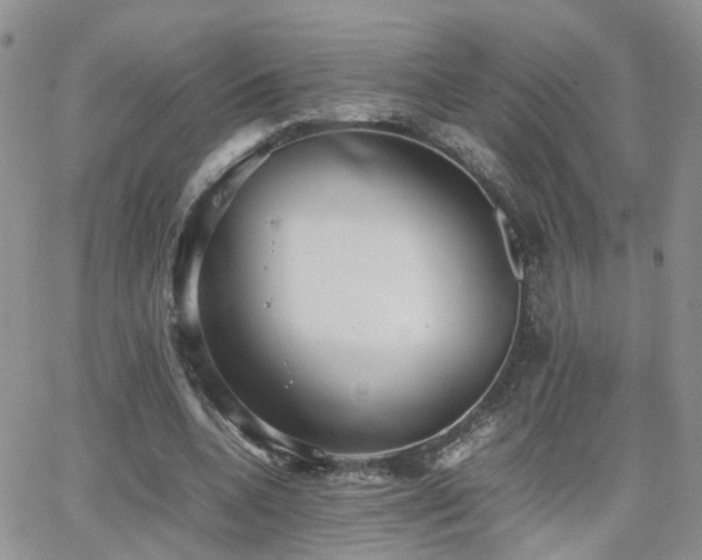X0000062130536200512091152