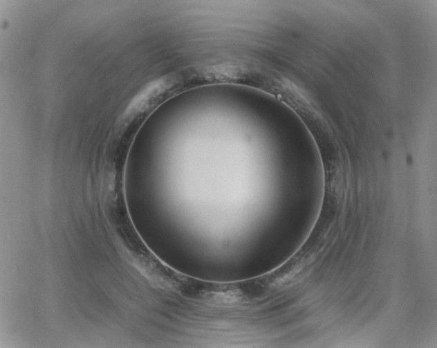 X0000062130548200512091152