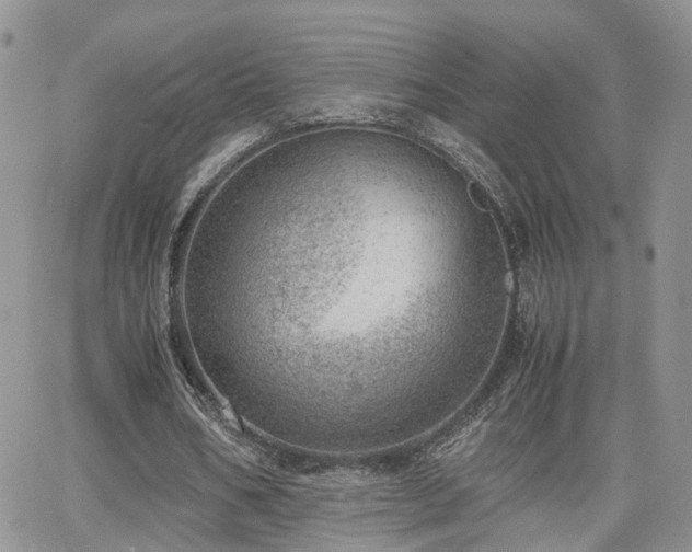 X0000062130578200512091152