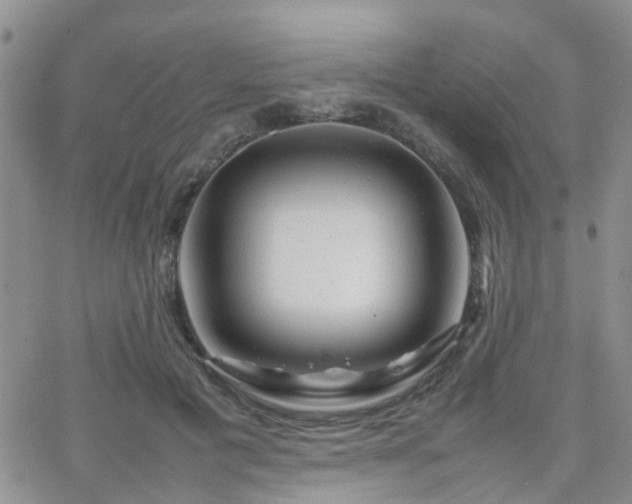 X0000062130601200512091151