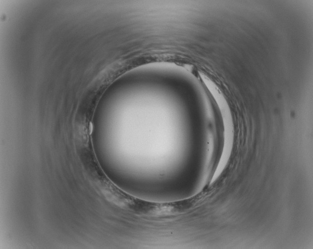 X0000062130609200512091151