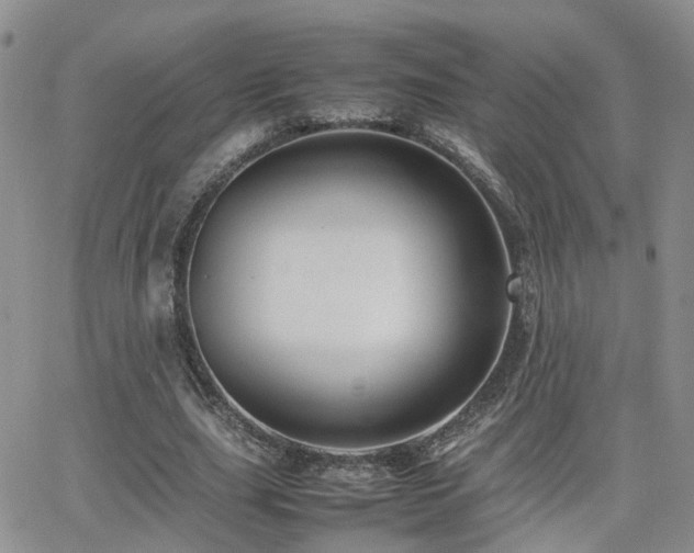 X0000062130631200512091150
