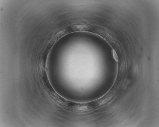 X0000062130651200512091151