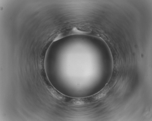X0000062130658200512091151