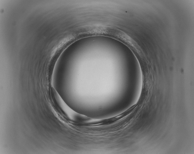 X0000062130677200512091150