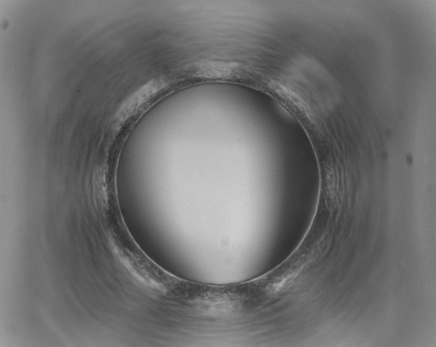 X0000062130682200512091150