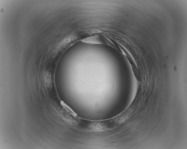 X0000062130704200512091150